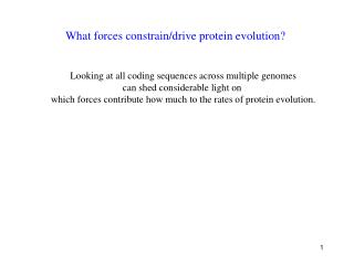 What forces constrain/drive protein evolution?