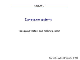 Expression systems