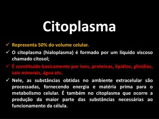 Citoplasma