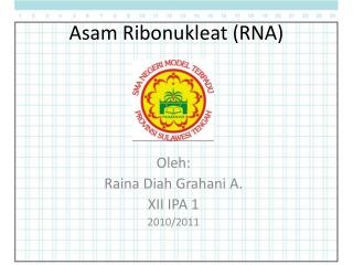 Asam Ribonukleat (RNA)