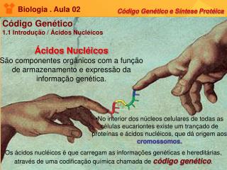 Biologia . Aula 02