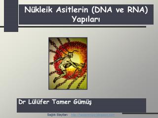 N ükleik A sitlerin (DNA ve RNA) Yapıları