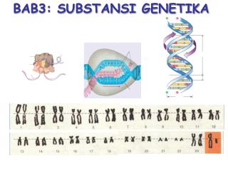 BAB3: SUBSTANSI GENETIKA