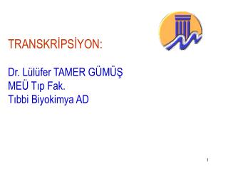 TRANSKRİPSİYON: Dr. Lülüfer TAMER GÜMÜŞ MEÜ Tıp Fak. Tıbbi Biyokimya AD