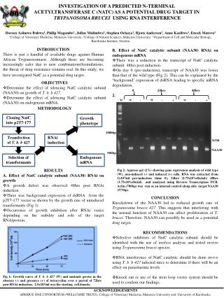 RESULTS A. Effect of NatC catalytic subunit (NAA30) RNAi on growth