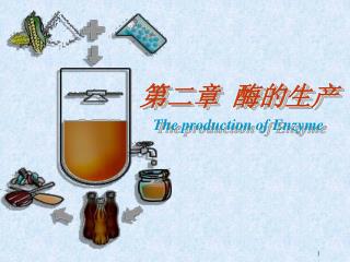 第二章 酶的生产 The production of Enzyme