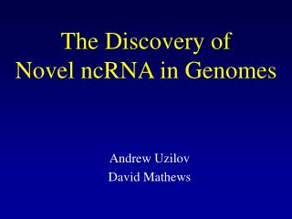 The Discovery of Novel ncRNA in Genomes