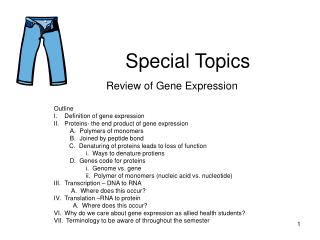 Special Topics