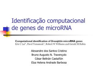 Identificação computacional de genes de microRNA