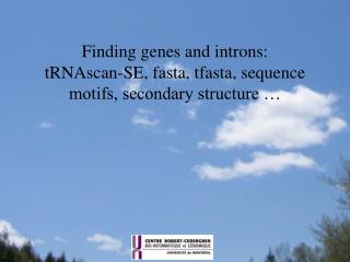 Finding genes and introns: tRNAscan-SE, fasta, tfasta, sequence motifs, secondary structure …