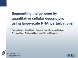 Segmenting the genome by quantitative cellular descriptors using large-scale RNAi perturbations