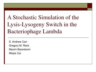 A Stochastic Simulation of the Lysis-Lysogeny Switch in the Bacteriophage Lambda