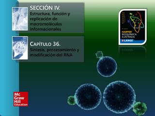 Sección IV.	 Estructura, función y replicación de macromoléculas informacionales