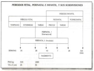 Factores de riesgo*