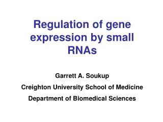 Regulation of gene expression by small RNAs Garrett A. Soukup