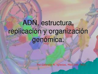 ADN, estructura, replicación y organización genómica.