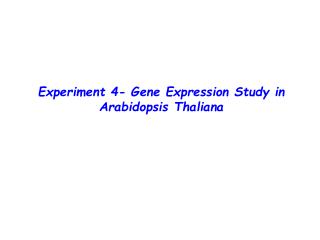 Experiment 4- Gene Expression Study in Arabidopsis Thaliana