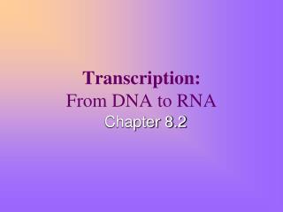 Transcription: From DNA to RNA