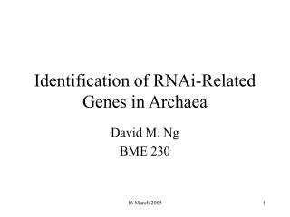 Identification of RNAi-Related Genes in Archaea