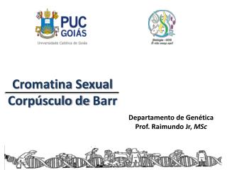 Cromatina Sexual Corpúsculo de Barr