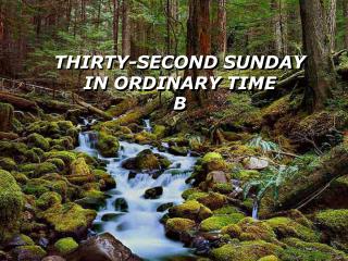 THIRTY-SECOND SUNDAY IN ORDINARY TIME B