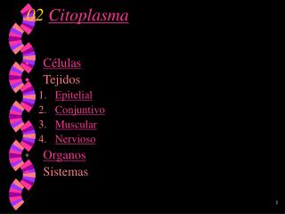 02 Citoplasma