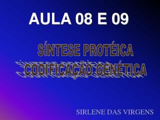 AULA 08 E 09