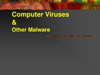 Computer Viruses & Other Malware