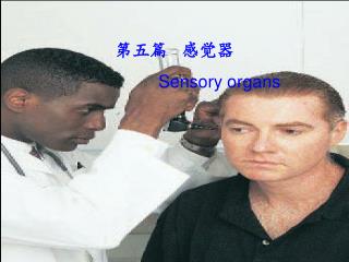 第五篇 感觉器 Sensory organs