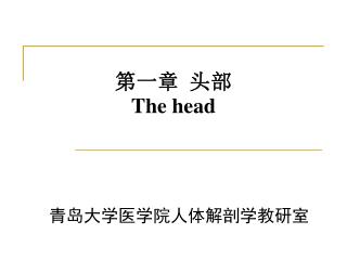 第一章 头部 The head