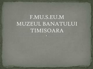 F.MU.S.EU.M MUZEUL BANATULUI TIMISOARA