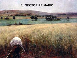 EL SECTOR PRIMARIO