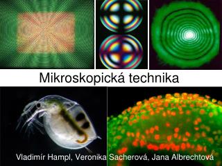 Mikroskopická technika