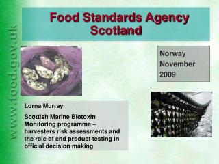 Food Standards Agency Scotland