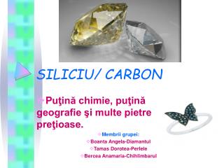 SILICIU/ CARBON