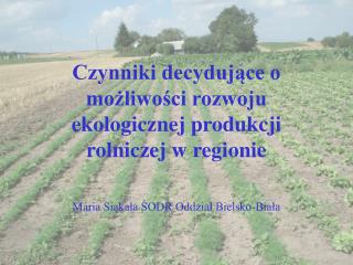 Czynniki decydujące o możliwości rozwoju ekologicznej produkcji rolniczej w regionie