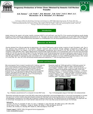 Pregnancy Evaluation of Ovine Clone Obtained by Somatic Cell Nuclear Transfer