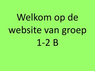 Welkom op de website van groep 1-2 B