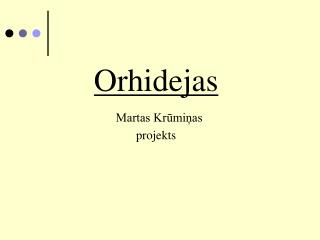 Orhidejas Martas Krūmiņas projekts