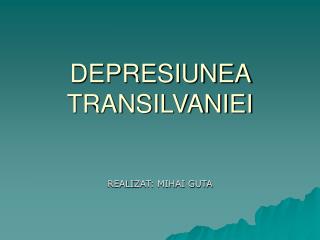 DEPRESIUNEA TRANSILVANIEI