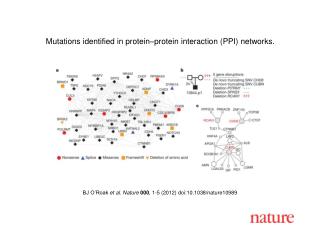 BJ O’Roak et al . Nature 000 , 1 -5 (2012) doi:10.1038/nature10989