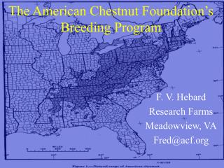 The American Chestnut Foundation’s Breeding Program