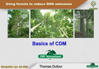 Basics of CDM