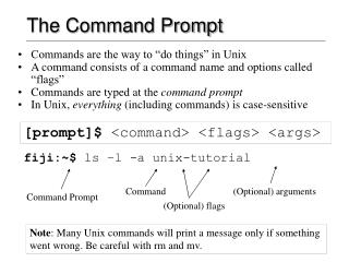 The Command Prompt