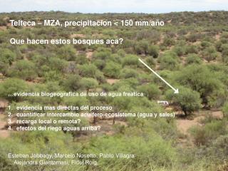 Telteca – MZA, precipitacion &lt; 150 mm/a ño Que hacen estos bosques aca?