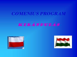 COMENIUS PROGRAM