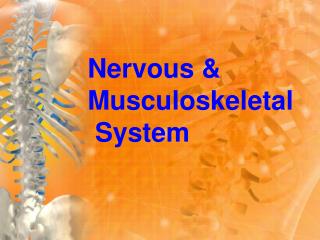 Nervous &amp; Musculoskeletal System