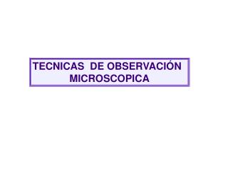 TECNICAS DE OBSERVACIÓN MICROSCOPICA