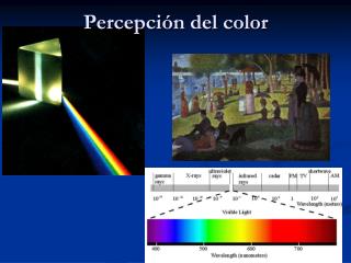 Percepción del color