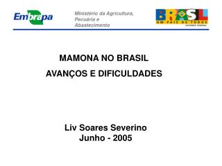 MAMONA NO BRASIL AVANÇOS E DIFICULDADES